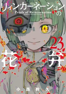 bg-image