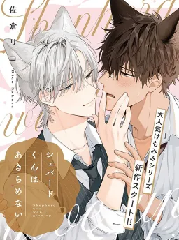 bg-image