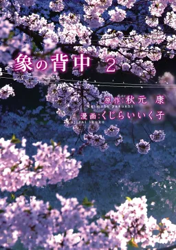 bg-image