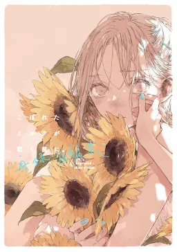 bg-image