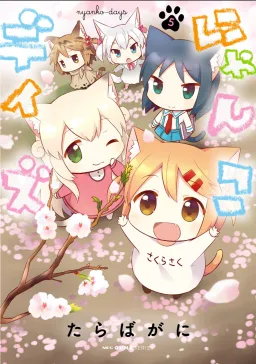 bg-image