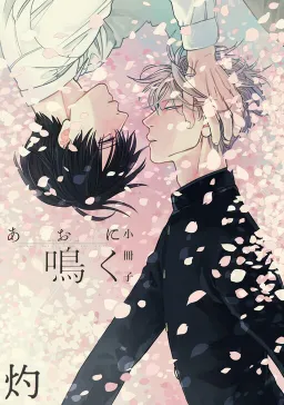 bg-image