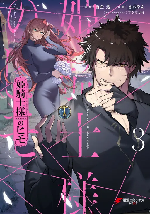 The Kept Man of the Princess Knight