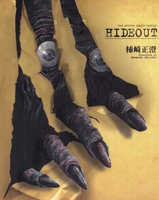 Hide Out