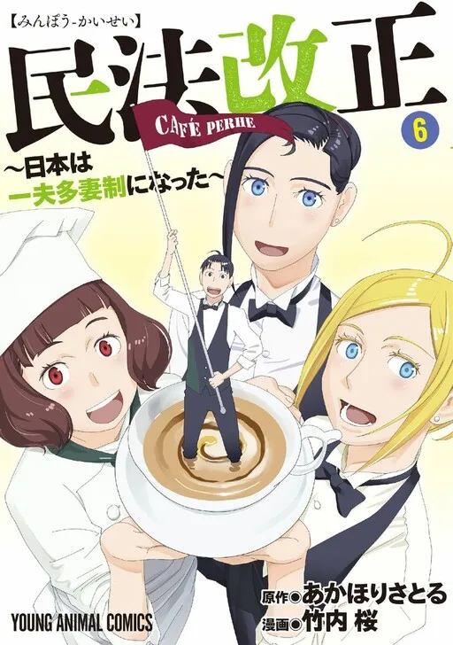Amended Civil Code - Japan Becomes a Polygamous Marriage System