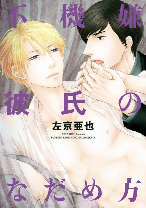 Fukigen Kareshi no Nadamekata