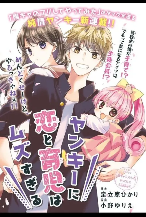 Yankee ni Koi to Ikuji wa Muzu sugiru