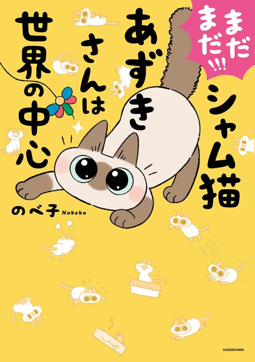 Siamese Cat Azuki Is the Center of the World