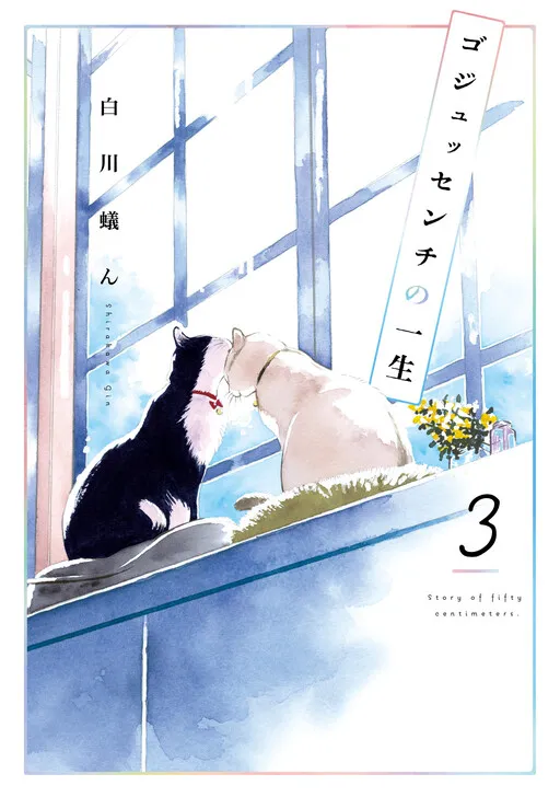 Story of 50 Centimeters