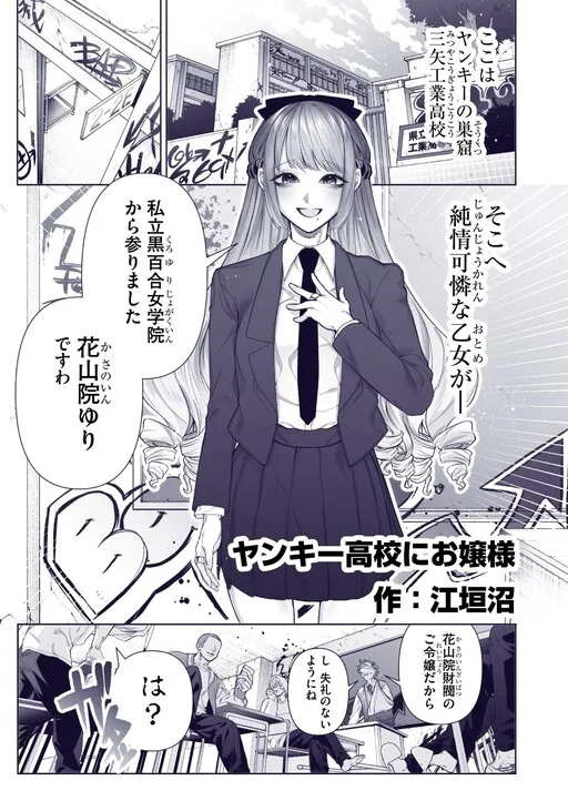 A Story About a Young Lady Transferring to a Delinquent High School