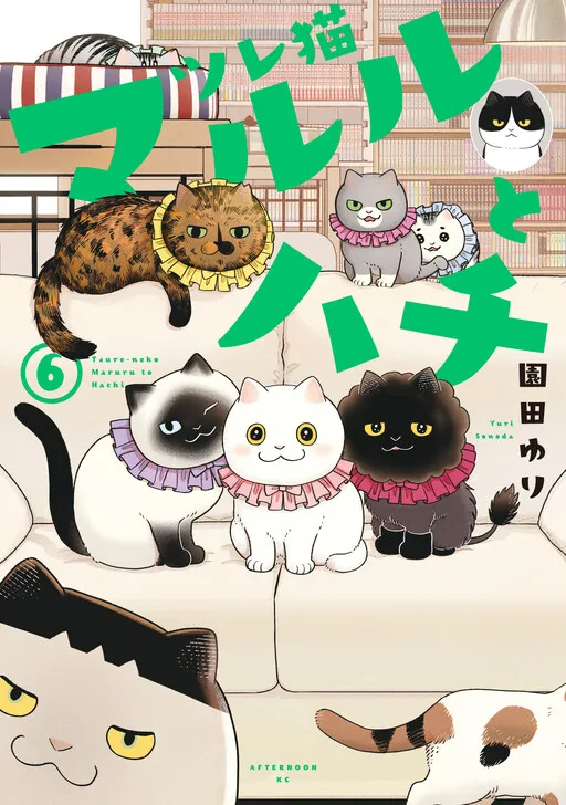 Cat Companions Maruru and Hachi