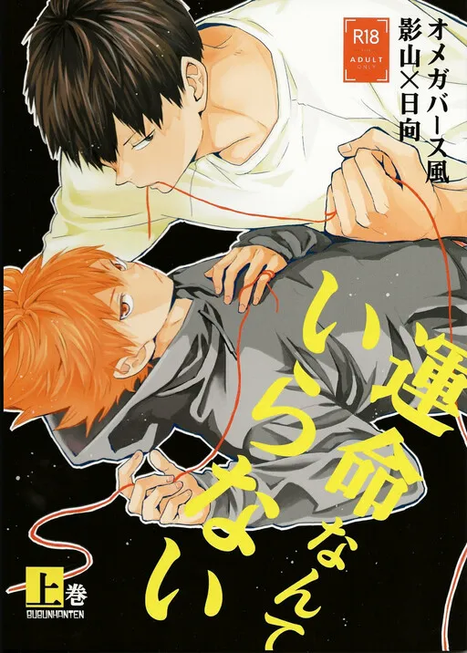 Haikyuu!! - Unmei Nante Iranai (Doujinshi)