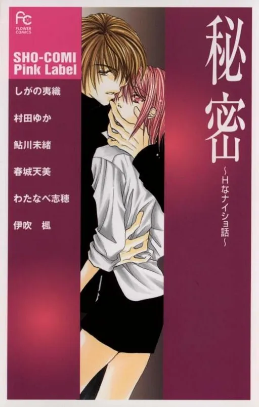 Himitsu - H na Naishobanashi