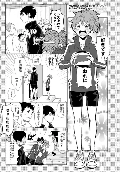 Haikyu!! - If Hinata’s Gender Were Different (Doujinshi)
