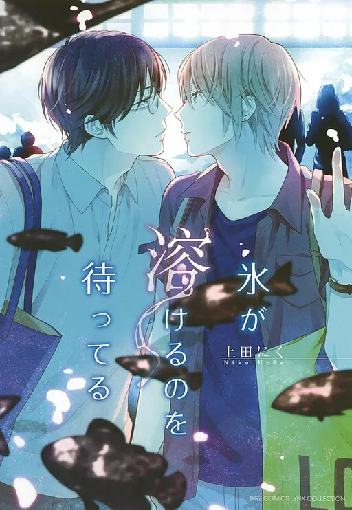 Koori ga Tokeru no o Matteru