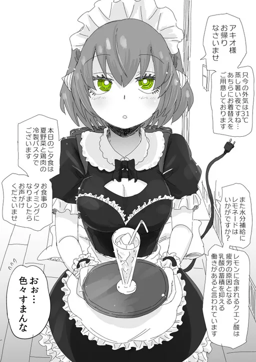 My Perfect Maid Robot Is Hard to Deal With
