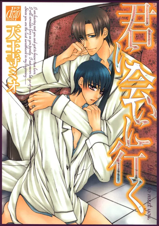 Kimi ni Ai ni Iku