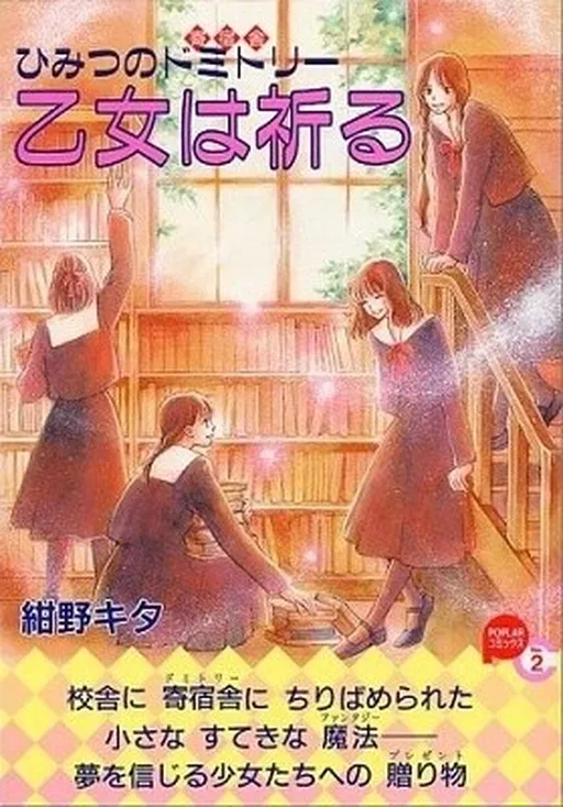 The Secret Stairs 3