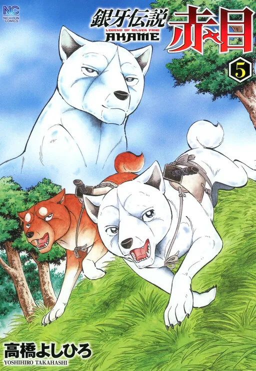 Legend of Silver Fang Akame