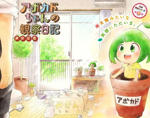 Avocado-chan's Observation Diary