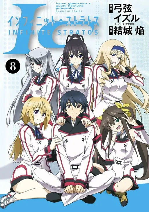 Infinite Stratos (IS)