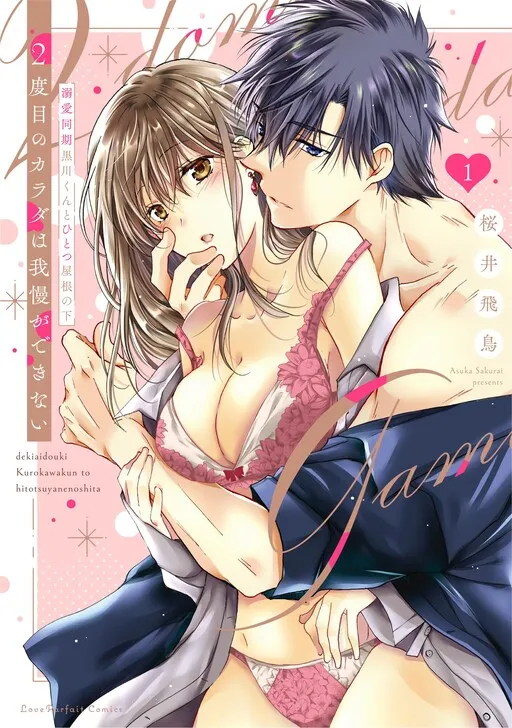 2-Dome no Karada wa Gaman ga Dekinai ~Dekiai douki Kurokawa-kun to Hitotsu Yane no Shita